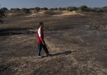 Madrid sufre 159 incendios en medio año, pero ocho de cada diez quedan en conatos