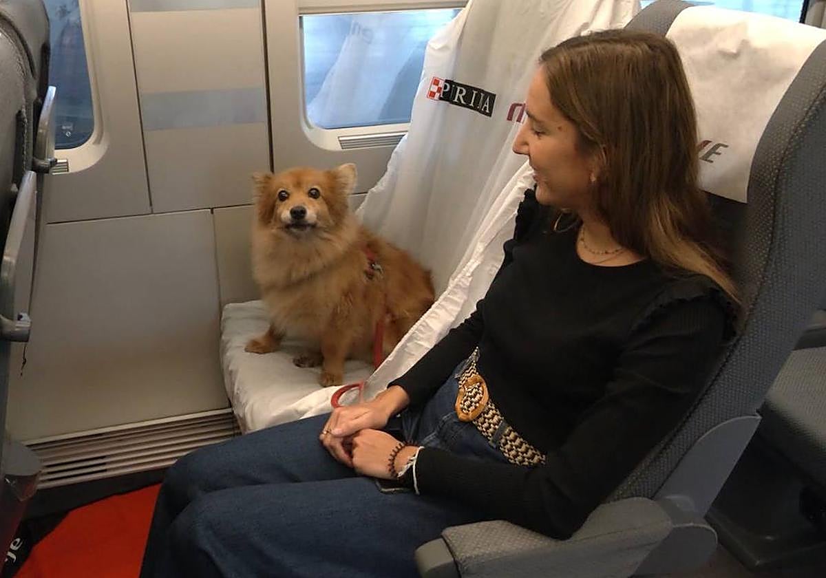 Los perros podrán ocupar un asiento en todos los trenes comerciales de Renfe por 40 euros