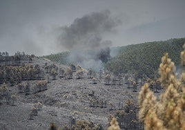 El fuego avanza 14 kilómetros en una noche y arrasa más de 13.000 hectáreas en La Mierla