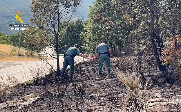 Estado en el que quedó uno de los terrenos quemados en la provincia de Zamora