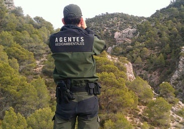 Los agentes medioambientales denuncian trabas de la Guardia Civil en la investigación de incendios