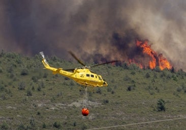 Los alcaldes exigen cambiar la ley forestal tras décadas de abandono del monte