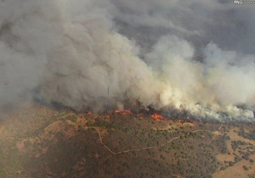 El «rápido avance» del incendio de Brieva (Segovia) obliga a desalojar ocho localidades