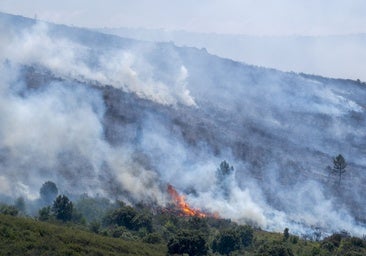 Evacuados los 31 residentes del centro de mayores de Retortillo y los vecinos de Barcones por el incendio de Guadalajara