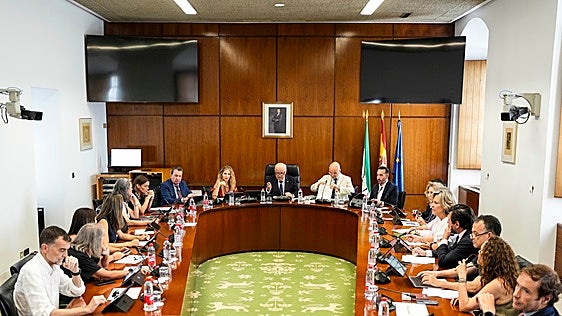 El Parlamento adapta sus comisiones al nuevo Gobierno andaluz y el PP copará la mitad de los puestos