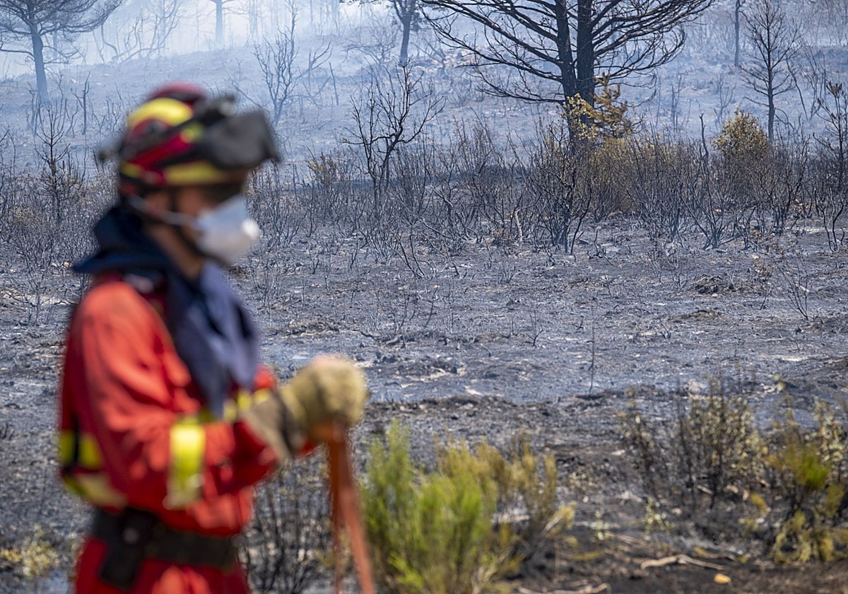 El incendio de La Mierla ronda las 29.000 hectáreas y los equipos empiezan a ver «la luz más allá del humo»