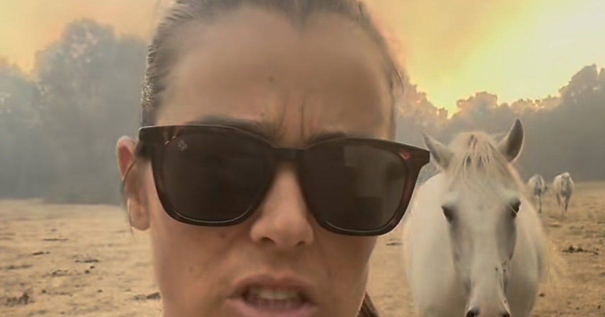Isabel Aaiun, la intérprete de ''Potra Salvaje'', no pudo asistir a la fiesta del Mundial por culpa del devastador incendio en Brieva (Segovia): «Tuvimos que liberar a los caballos»