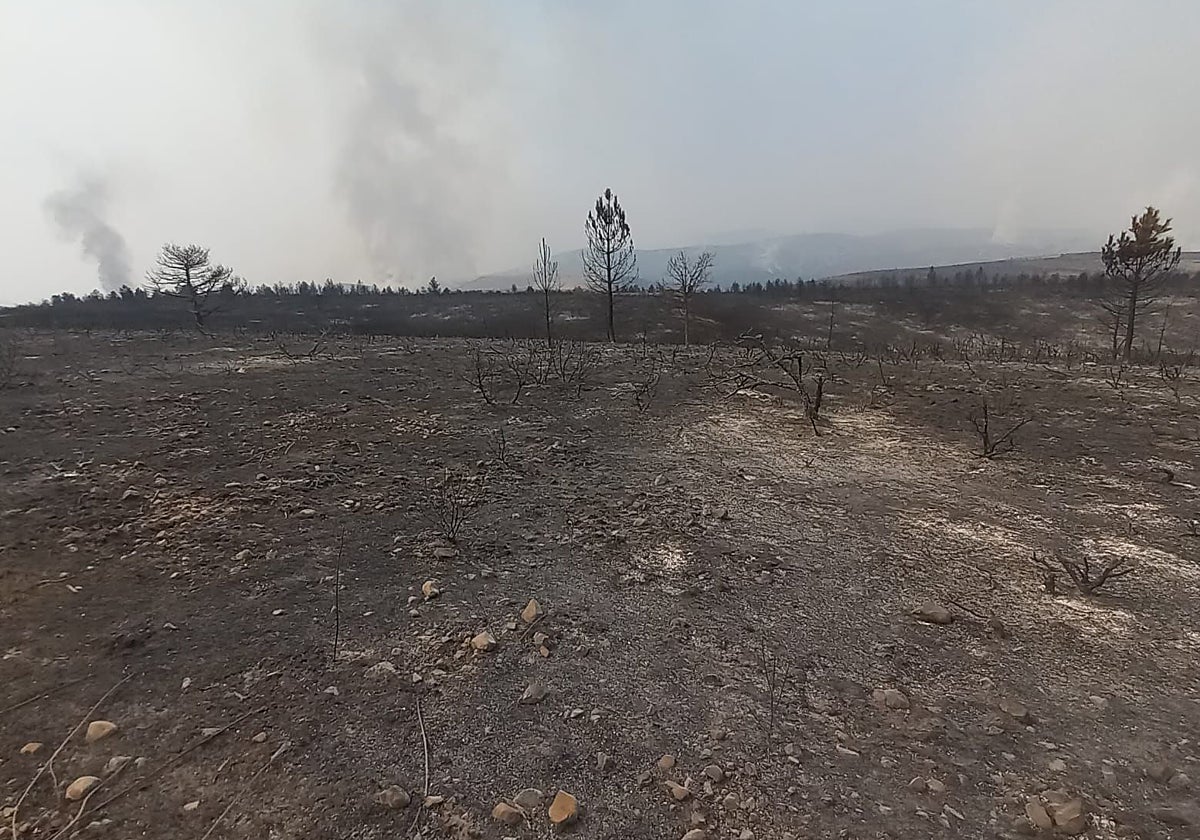 «Puede haber cambio climático, pero si el monte estuviera cuidado y desbrozado, esto no pasaría»