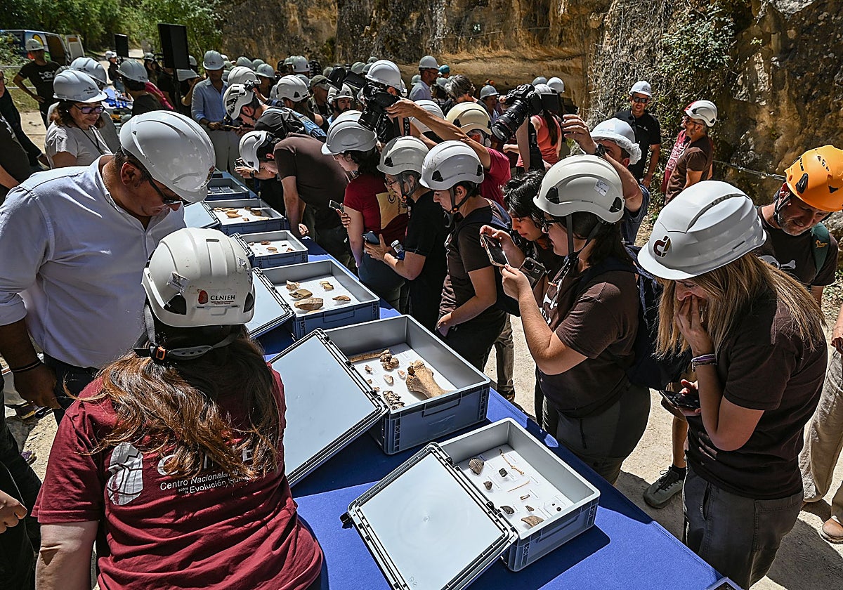 La campaña de Atapuerca descubre 24 fósiles de hace 850.000 años y confirma el canibalismo