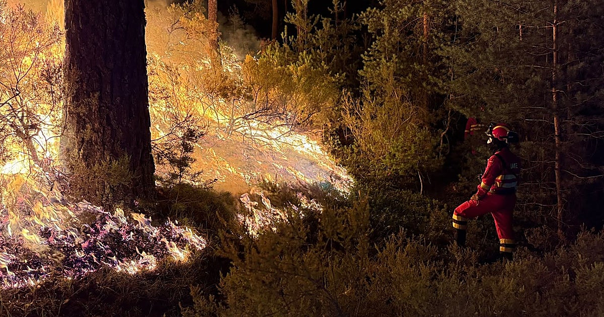 Castilla-La Mancha registra 19 incendios en cuatro días, 846 en lo que va de año
