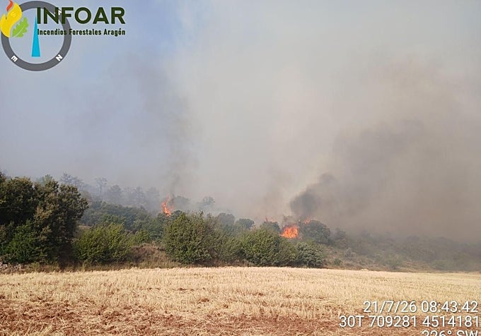 El incendio declarado en un pinar entre La Cerollera y Belmonte de San José ha obligado a cortar una carretera a La Cañada de Verich.