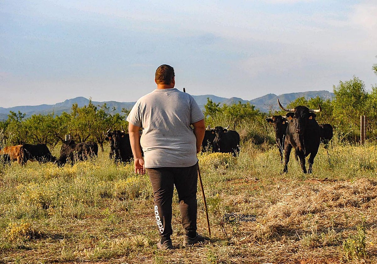 Muere el joven ganadero Luis López durante la búsqueda de los toros que se le habían escapado