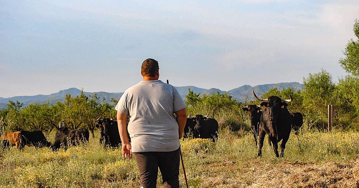 Muere el joven ganadero Luis López durante la búsqueda de los toros que se le habían escapado
