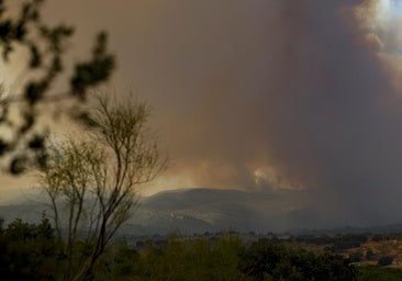 Ayuso advierte de que Madrid se enfrenta al «peor» incendio de su historia: «La prioridad es salvar vidas»