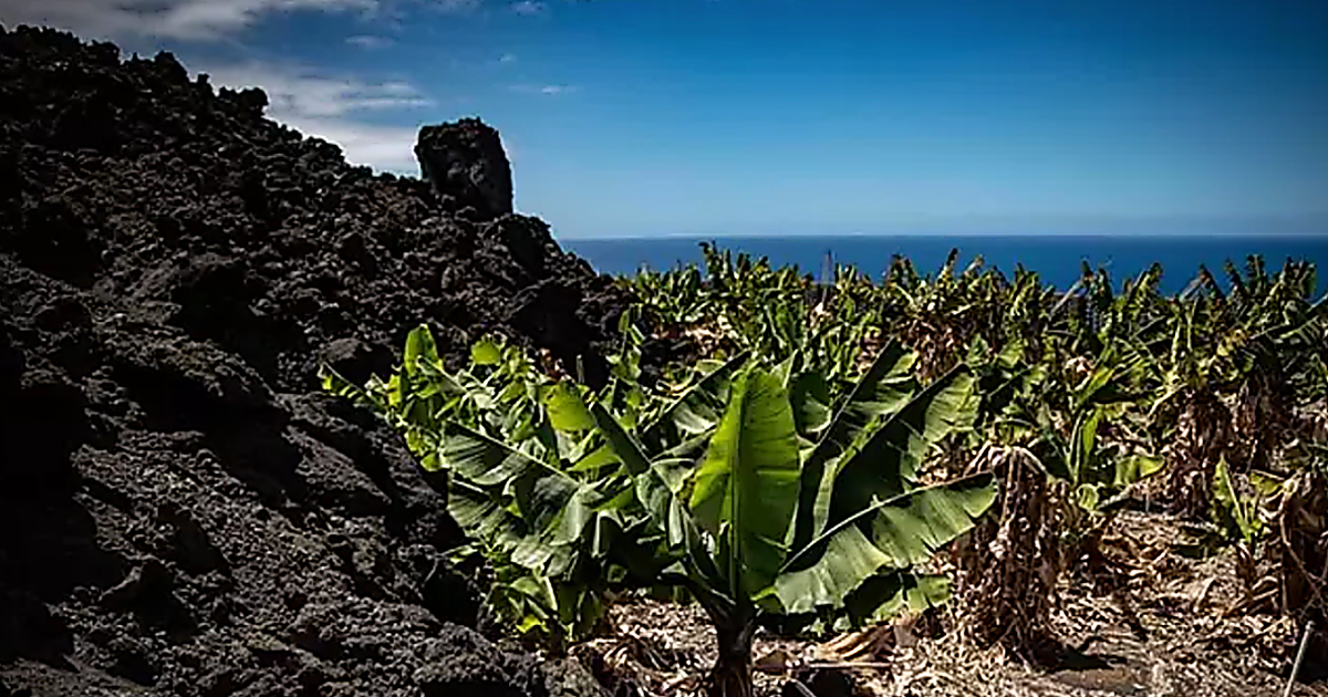 La Palma urge al Gobierno de España a que cumpla con los 100 millones comprometidos para la reconstrucción