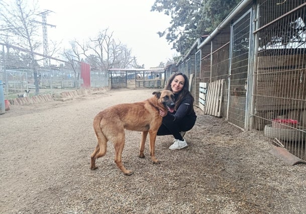La vicepresidenta de la protectora Huellas, Lorena de Blas Ruiz, cuidando de un perro