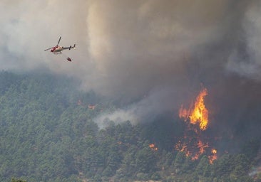 Un detenido por provocar el incendio de Ávila
