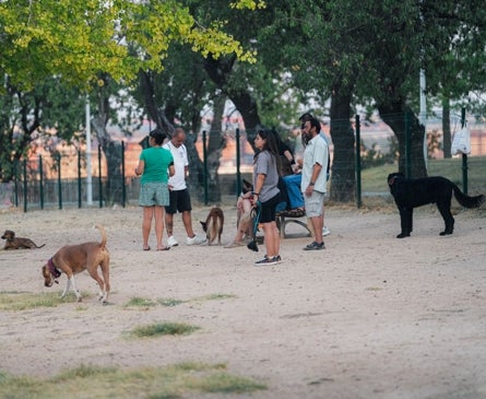Imagen secundaria 1 - Mascotas disfrutando de un día de verano