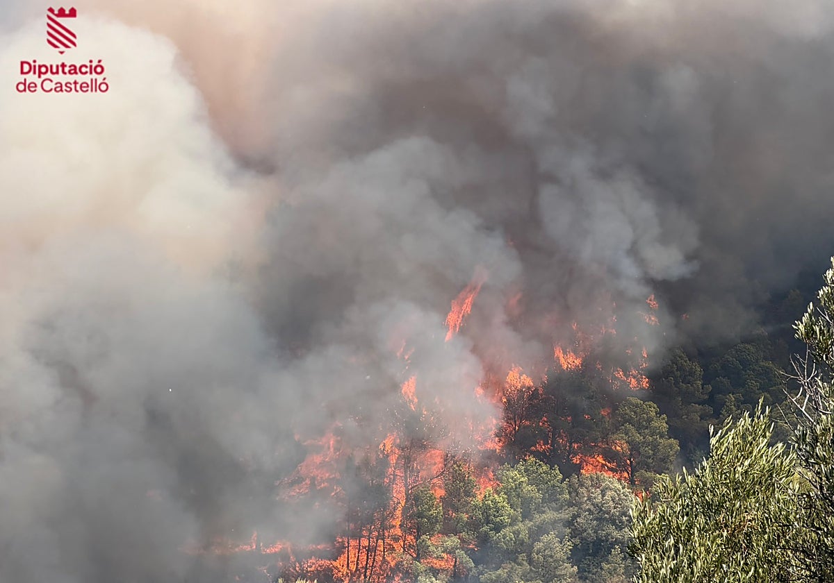 Un incendio forestal en la Vall d'Uixó (Castellón) obliga a desalojar a vecinos y activa la situación 2 del PEIF