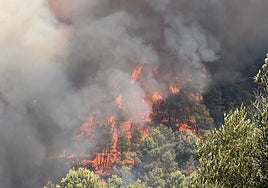 El incendio de Vall d'Uxió (Castellón) obliga a desalojar 15.000 personas de 16 municipios