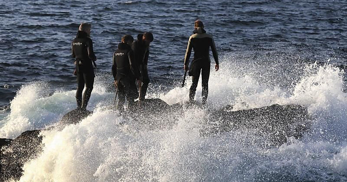 Golpe al furtivismo en La Coruña: decomisan 112 kilos de percebe que acaban en un comedor benéfico