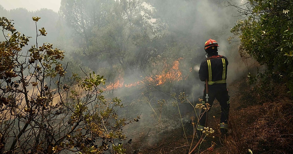 Galicia se vuelca con los incendios de León, Ávila y Madrid sin bajar la guardia en sus montes