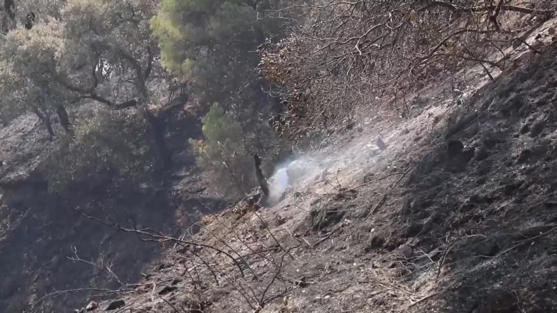 Controlado el incendio forestal de Cerro Muriano (Córdoba)