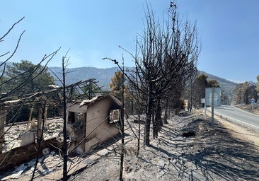 El incendio de Burgohondo abrasa unas 50.000 hectáreas y ya es el «mayor» en la historia de España