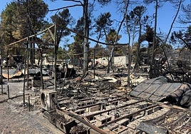 Fuego purificador
