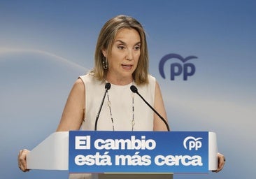 Génova mantiene la tregua política por los incendios: «Quien busque bronca se equivoca de sitio»