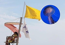 Plaga de medusas «muy urticantes» en la costa de Almería: las seis playas más afectadas por su presencia