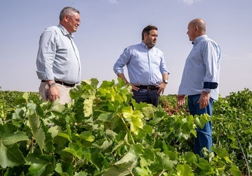 Núñez pide ampliar la Directiva Marco del Agua para evitar el cierre del 70% de los pozos de la región