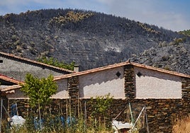 Castilla-La Mancha movilizará 27 millones para recuperar la Sierra Norte tras el incendio