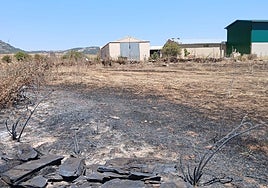 Las llamas del incendio llegaron hasta la puerta de la nave de David.