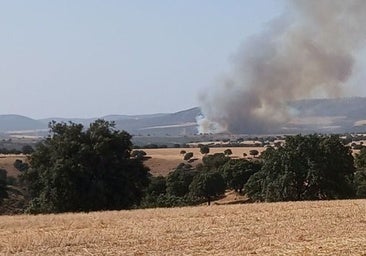 Desciende a nivel 0 el incendio de Puebla de Don Rodrigo, en Ciudad Real