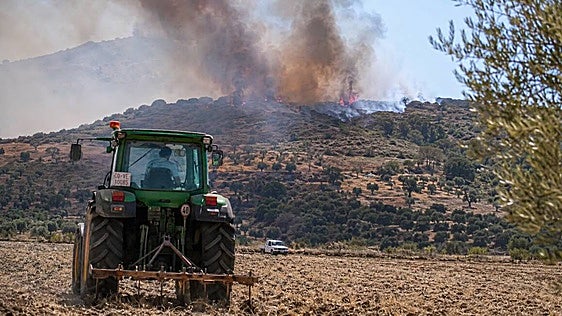 Las ayudas forestales de la Junta de Andalucía han pasado siete años bloqueadas