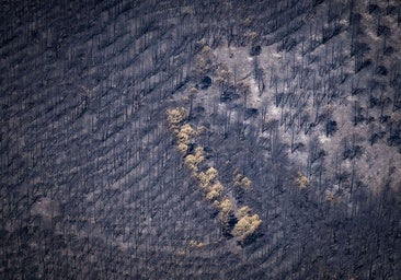 El incendio de la Sierra Norte de Guadalajara baja a nivel 0 tras 18 días de lucha contra el fuego