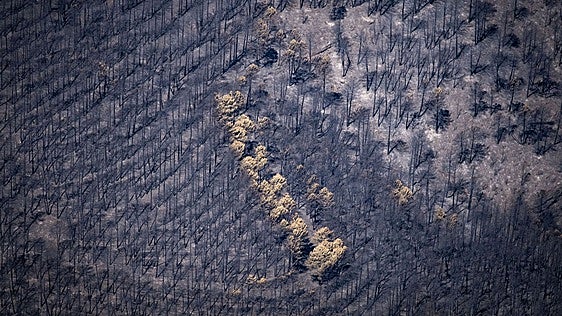 El incendio de la Sierra Norte de Guadalajara baja a nivel 0 tras 18 días de lucha contra el fuego