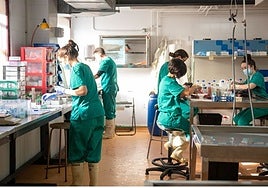 La UCLM lanza la mayor convocatoria posdoctoral de su historia: más de 3,2 millones de euros y 30 contratos