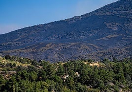 La superficie afectada por los incendios en Castilla y León multiplica por más de doce lo quemado hasta julio en 2025