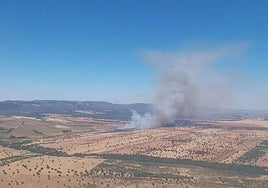 Extinguido el incendio forestal de Retuerta del Bullaque que quedó controlado en poco más de tres horas