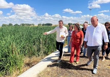 Corral llama a «no bajar la guardia» y «estar atentos» ante los incendios