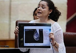 El carpetazo judicial a los cribados pone fin al uso del cáncer como causa política contra Moreno