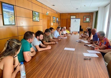 La Junta evalúa los daños del incendio de La Mierla para diseñar las ayudas a agricultores y ganaderos