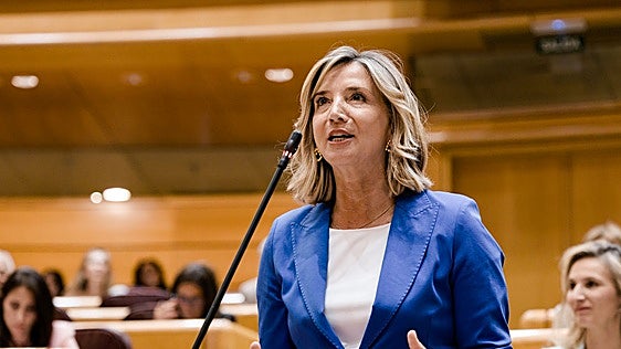 El PP cita en el Senado la semana que viene a los ministros responsables de la crisis de Ceuta
