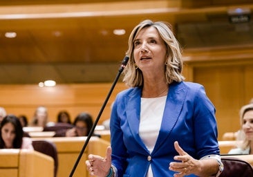 El PP cita en el Senado a los ministros responsables de la entrada de 72.000 personas en Ceuta desde Marruecos