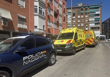 Estrangula a su anciano suegro mientras su novio hacía una videoconferencia