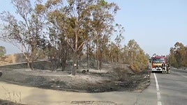 La lucha contra el incendio de Niebla (Huelva) sigue condicionada por cambios de viento