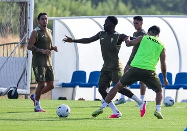 El Córdoba CF celebrará un entrenamiento a puerta abierta en El Arcángel antes del estreno ante el Burgos