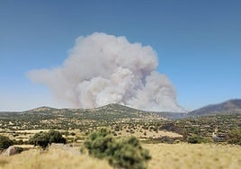 La reactivación del incendio de Navas de San Antonio obliga al desalojo de Los Ángeles de San Rafael y Vegas de Matute